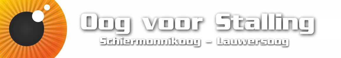 Parkeren en stallen in Lauwersoog